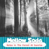 Mellow Soda - Hammock Dreams by the Ocean