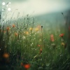 SoundScape Studio、Peaceful Me - Dawn Over Waterfalls