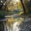 Stress Relief with Nature by Cloud Bed、Study Time - Mystic Canyon Flow