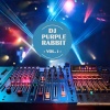 DJ Purple Rabbit - Death on the Space Ship (Drum Mix Master XL)