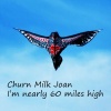 Churn Milk Joan - Just Bloody Lovely