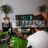 Saleh - In My Feelings