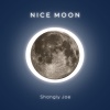 Shangly Joe - Displace (Indie Lounge Mix)