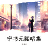 宁书元 - 一半疯了一半算了