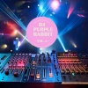DJ Purple Rabbit - A Fun Life