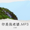 王召英 - 你是我老婆.MP3