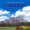 韩国群星 - 님 그림자