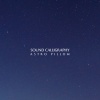 Sound Calligraphy - Astro Pillow