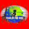 Doop - Being Human Is so 2022 (Explicit)
