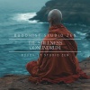 Buddhist Studio Zen、Zen Atlas - 528 Hz Tonal Vibration, The Stillness Conundrum