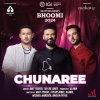 Amit Trivedi、Taylor Jones、Alawn - Chunaree