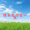 追梦 - 缘来是你爱一生