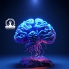 Meditação e Espiritualidade Musica Academia - Libere Suas Preocupações
