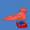 Murr、Chill Kitten - Waiting Room