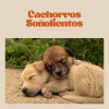 Perritos Fantásticos - Pirate Past