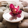 Massage Tribe - Serene Spaces