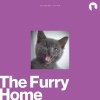 Cats Music Zone - Beyond the Breakers