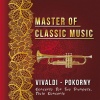 Das deutsche Zupforchester、siegfried behrend、takashi ochi - Symphony For Mandolin in C Major