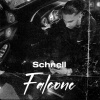 Falcone - Schnell