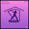 Emilz、Emil Zieleśkiewicz - I Like Funky House Sound