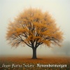 Juan Maria Solare - Novembermorgen