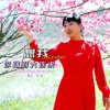 李红 - 想我你就到大连来