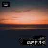 倪金茂 - 想你的时候