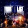 Lil Javi40、Mando - What I Like (feat. Mando)(Explicit)