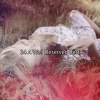 Sleep Sounds of Nature - Sandmans Spell