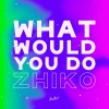 ZHIKO - What Would You Do (Explicit)