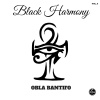 Black Harmony - Tangi a Gadu