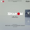 DJ Shadow Dubai、Parth - Sajni Nostalgia (DJ Shadow Dubai Remix)