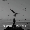 任夏夏 - 多想能给自己放个长假