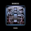 Big Boss - Risen