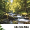 Ruido Blanco Hart、Rivers and Streams、Water Science - Susurros del río sereno
