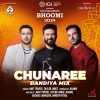 Amit Trivedi、Taylor Jones、Alawn - Chunaree - Dandiya Mix (Dandiya Mix)