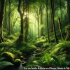 Sonidos De Aves、Sonidos del Bosque、Sonido Ambiente - Aves con Sonidos Relajantes en el Bosque, Melodía al Amanecer