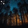 SoundScape Studio、Music For Studying - Night Garden