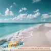 Café Tropicana - The Island of Chocolate