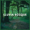 Lluvia del Bosque - Lluvia Bosque (01)