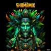 Vegas (Brazil)、Gottinari - Shamamix