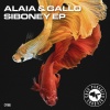 Alaia & Gallo - Siboney (Radio Edit)