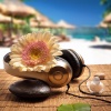 Spa Music Station、Spa Treatment、Spa Nature - Soft Ambient Melodies