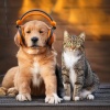 Pet Sound Calm、Pets to Calm、Ultimate Pet Calm - Gentle Pet Sounds