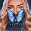Lolla - Behind Blue Eyes