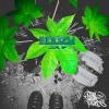 Local GP、Estae - WOOZY (feat. ESTAE)(Explicit)