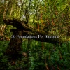 Sleep Sounds of Nature - Serene Bed Rest