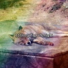 Baby Lullaby - Night Star