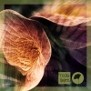 G.Pal、Elias Kazais - Slipping Away