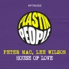 Peter Mac、Lee Wilson - House Of Love (Deep Love Mix)